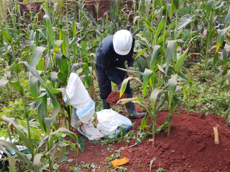 WhatsApp Image 2025-11-30 at 12.07.43 PM