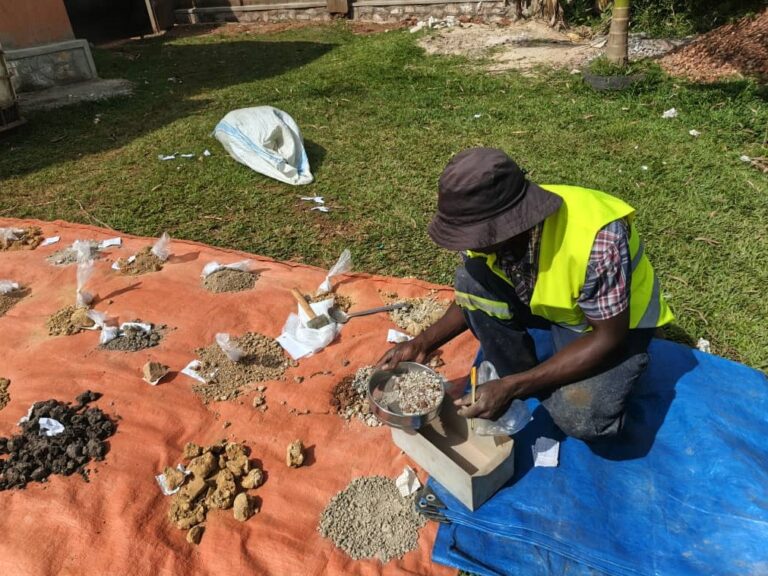 WhatsApp Image 2025-11-30 at 12.08.24 PM (1)