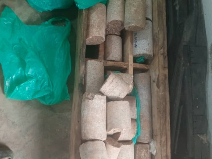 WhatsApp Image 2025-11-30 at 12.08.46 PM (1)